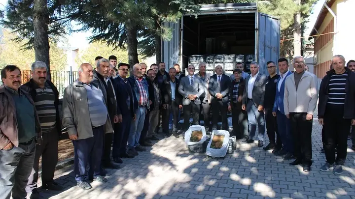 İSKİLİP’TE 84 BİN ADET ÇİLEK FİDESİ DAĞITILDI